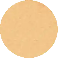 a brown circle with a white background and a few spots on it