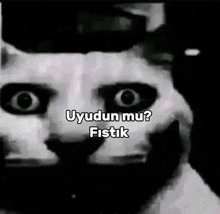 a black and white photo of a cat with the words uyudun mu fistik written on it