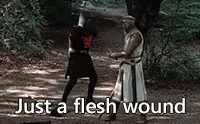 it's just a flesh wound gif from monty python