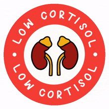 spoonie cortisol