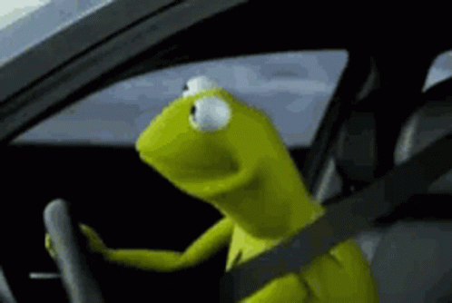 kermit driving and slowly turning head to look at you from looking forwards