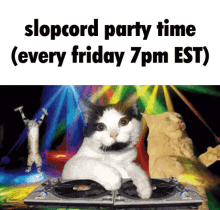 Cord Gregcord GIF - Cord Gregcord Party GIFs
