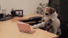 Doggo Typing GIF - Doggo Dog Typing GIFs