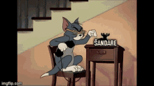 tom cat dialing phone call tom and jerry sandare