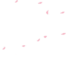 Cherry Blossom Falling GIF - Cherry Blossom Falling Petals GIFs