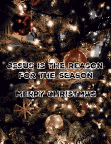 Merry Christmas Jesus Is The Reason GIF