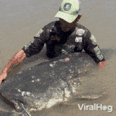 A Fisherman Catches Giant Catfish Viralhog GIF - A Fisherman Catches Giant Catfish Catfish Viralhog GIFs