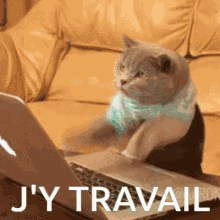 Typing Fast Jy Travail GIF - Typing Fast Jy Travail Working GIFs