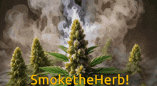 smoke coming out of a marijuana plant with the words smoke the herb written below it