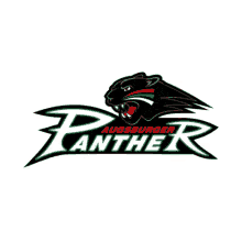 aev panther augsburger augsburger panther logo