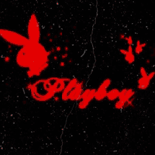 Wattpad Playboy GIF - Wattpad Playboy GIFs