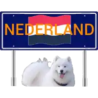 a sign that says nederland with a white dog behind it