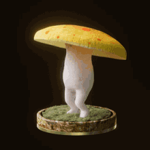 fungi19 fungiblefungi19 bog nft mushroom