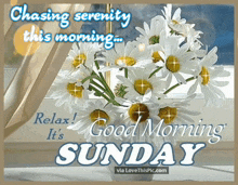 Good Morning Sunday Serenity GIF - Good Morning Sunday Serenity GIFs