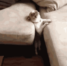 Halp GIF - Dog Couch Trapped GIFs