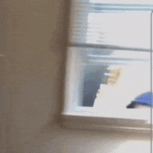 a man in a hoodie looks out a window