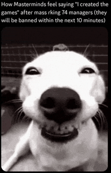 a black and white photo of a smiling dog with the caption " how masterminds feel saying i created the games "