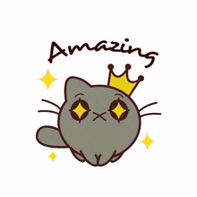 cat amazing