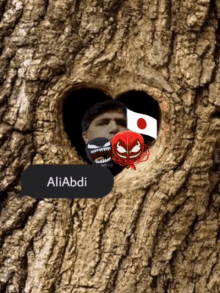 Ali Abdi GIF