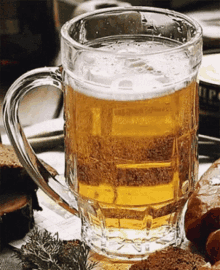 Beer Drink GIF - Beer Drink Cheers GIFs