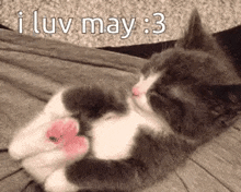 I Love May Cute Kitty GIF - I Love May Cute Kitty Ily GIFs