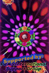 a poster that says ' supported by peas international support group ' at the top
