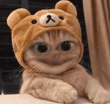 Soozy Cat Filter GIF - Soozy Cat Filter Snapchat Cat GIFs