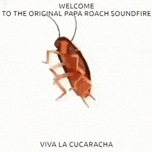 Papa Roach Infest GIF