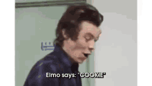 Elmo Says: "Cookie" GIF - Harry Styles One Direction Elmo GIFs