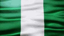 Nigeria Flag Gif GIF - Nigeria Flag Gif Africa GIFs