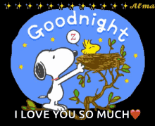 Good Night GIF - Good Night Snoopy GIFs