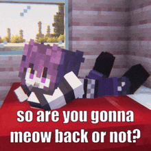 a picture of a minecraft character laying on a bed with the words so are you gonna meow back or not
