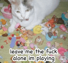 a picture of a cat surrounded by toys with a caption that says leave me the fuck alone im playing