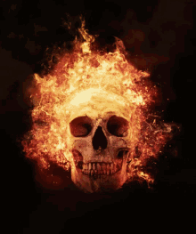 flame flaming skull firem fire