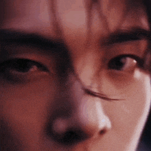 a close up of a person 's face with a very long hair .