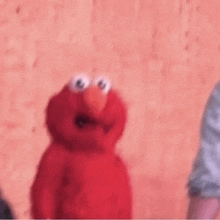 What Elmo GIF - What Elmo Meme GIFs
