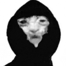 a black and white photo of a person wearing a black hooded jacket .