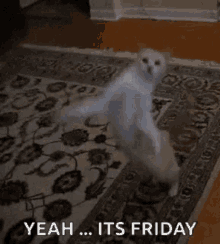 Finally Friday GIF - Finally Friday GIFs