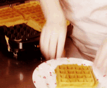Waffle Waffles GIF - Waffle Waffles Waffle Day GIFs