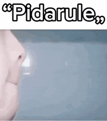 a close up of a person 's nose with the words pidarule written above it .