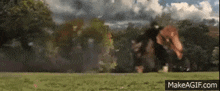 a man riding a horse in a field with trees in the background .