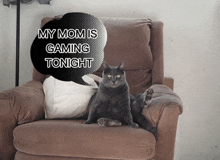 The Council Is Gaming Tonight My Mom Is Gaming Tonight GIF