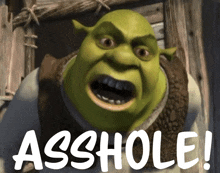 Shrek Asshole GIF - Shrek Asshole Mad GIFs