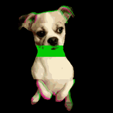 Glitch Doggo GIF - Glitch Doggo Dog GIFs