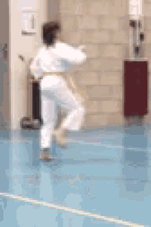 Taekwondo Becca GIF