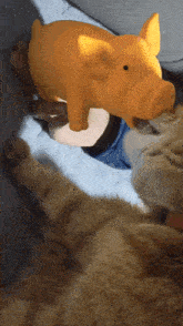 a cat playing with a yellow pig toy on a bed