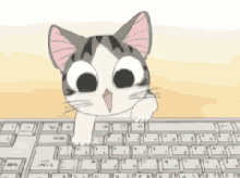 cat keyboard anime