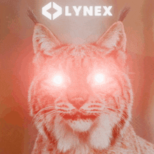 Lynex Lynex Laser GIF