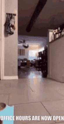 Office Hours Office GIF - Office Hours Office 2hours Later GIFs