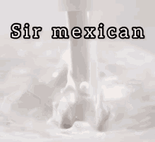 Sir Sir Yes Sir GIF - Sir Sir Yes Sir Mexican GIFs